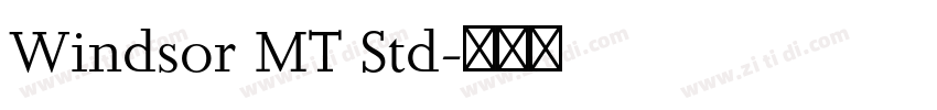 Windsor MT Std字体转换